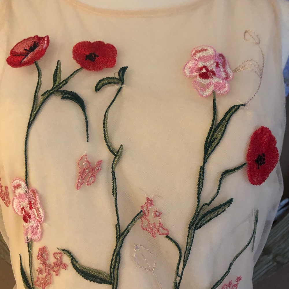 🆕Blush Floral Embroidered Dress 🌺 - Picture 3 of 5